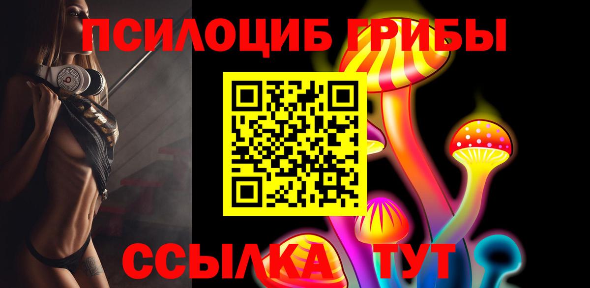 Арзамас  Псилоцибиновые грибы Psilocybine cubensis  Вход с VPN  Псилоцибиновые грибы мицелий 