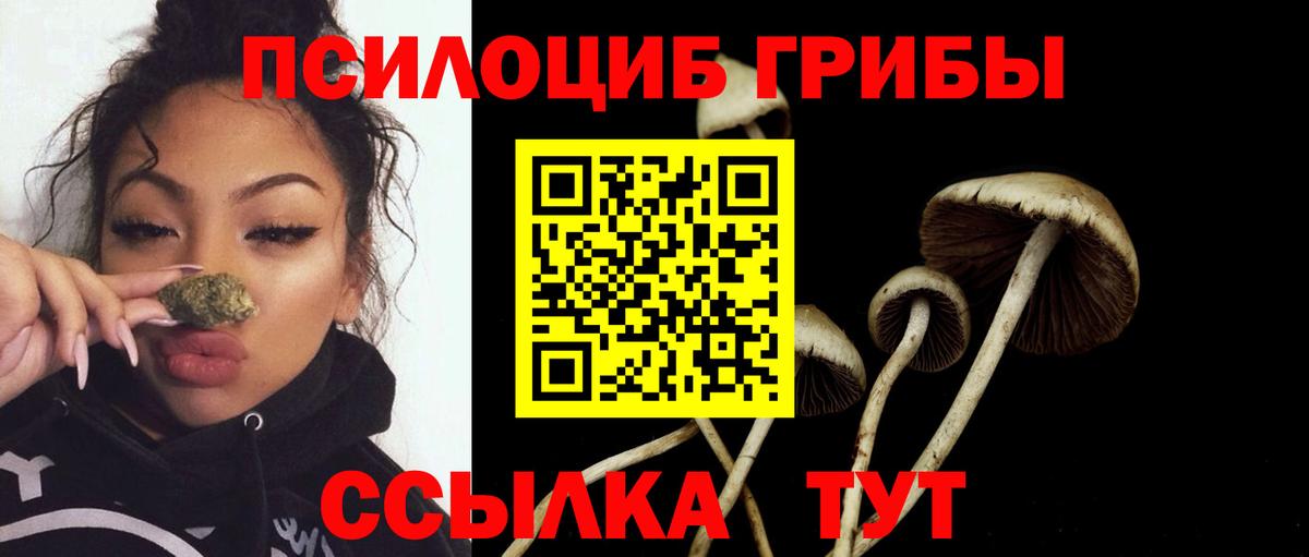 Галлюциногенные грибы мухоморы Арзамас